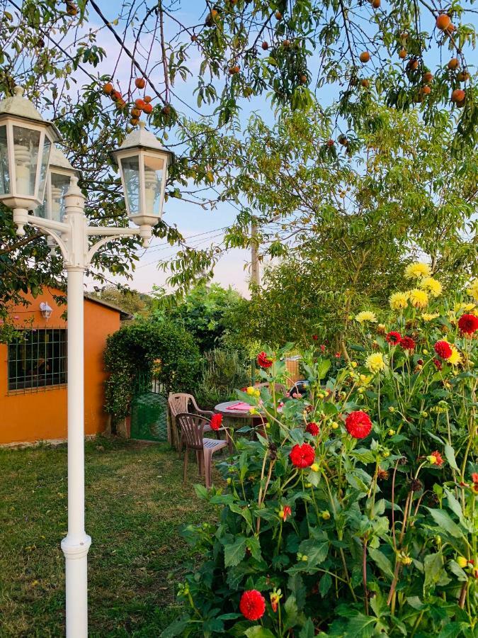 Vivienda Vacacional El Majo Pola de Siero ภายนอก รูปภาพ