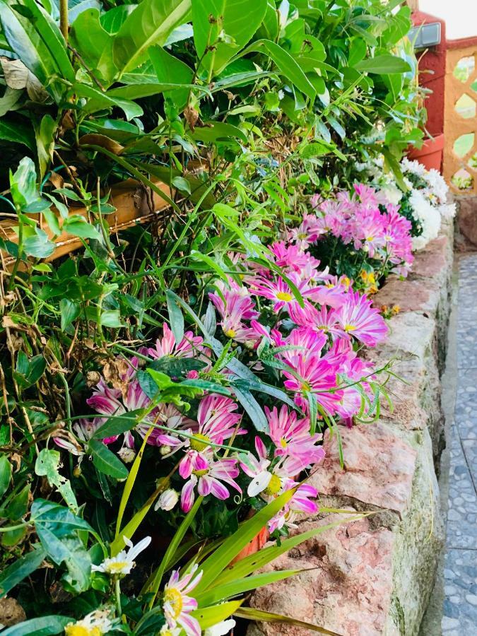Vivienda Vacacional El Majo Pola de Siero ภายนอก รูปภาพ