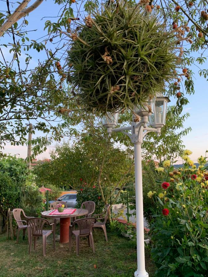 Vivienda Vacacional El Majo Pola de Siero ภายนอก รูปภาพ